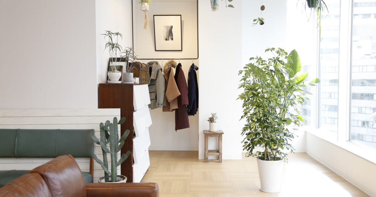 観葉植物とソファのある明るい部屋
