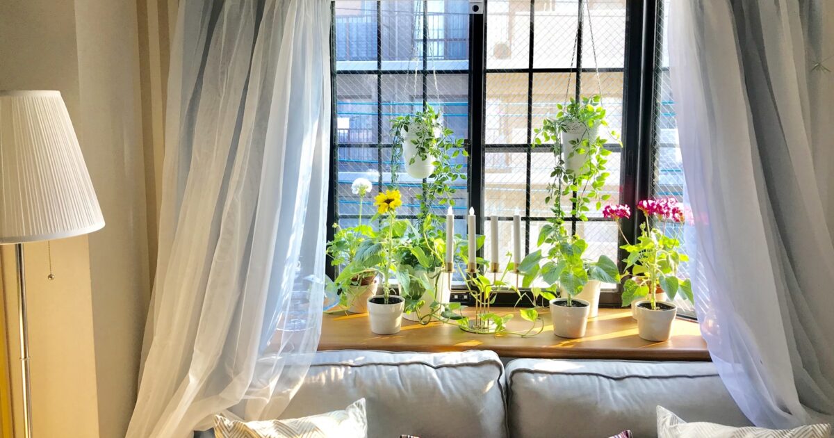窓辺に観葉植物を飾った明るいリビング