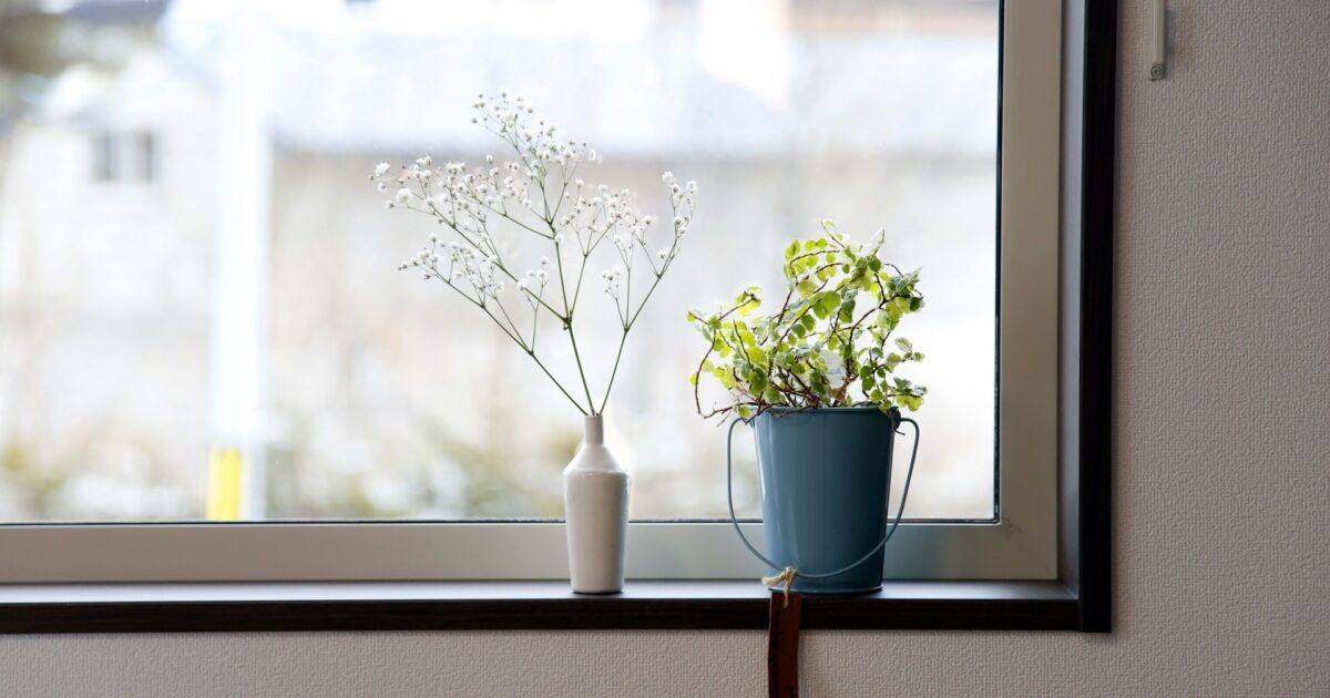 窓辺に飾られた花と観葉植物