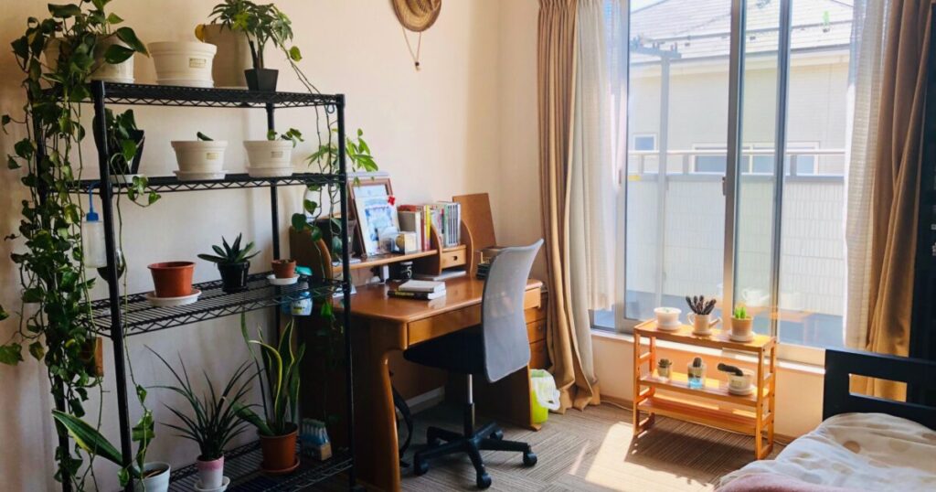 観葉植物とデスクのある明るい部屋