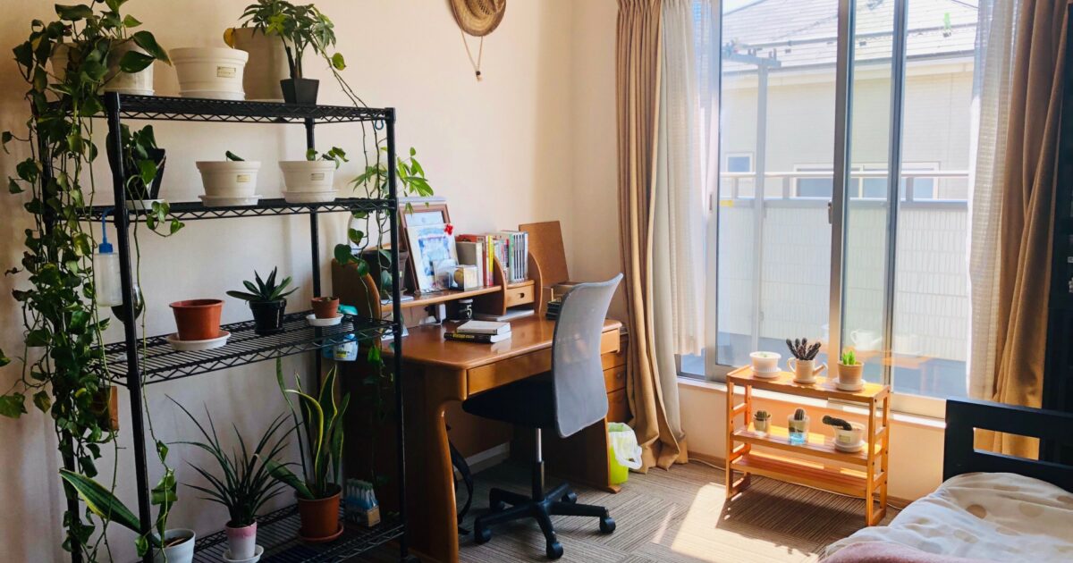 観葉植物とデスクのある明るい部屋